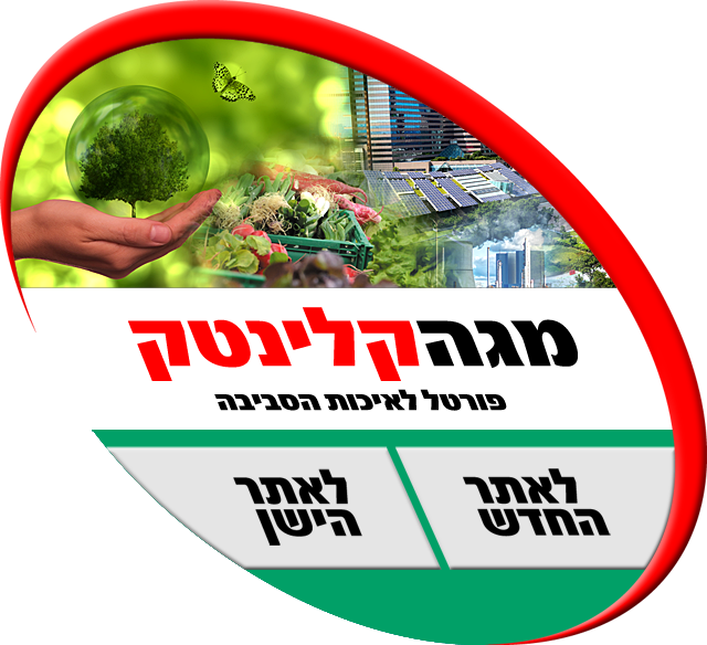 מגה קלינטק