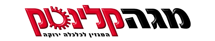 מגה קלינטק